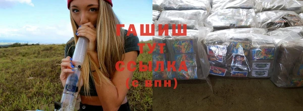 гашик Краснослободск