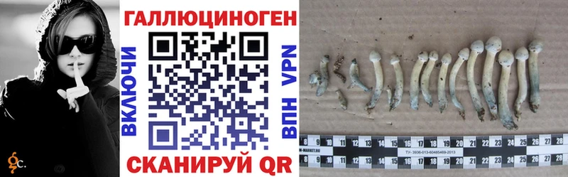 хочу   KRAKEN зеркало  Галлюциногенные грибы GOLDEN TEACHER  Кирсанов 